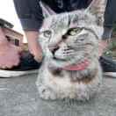 可人的个人资料头像