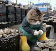 送南阳马生序的个人资料头像