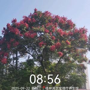 英雄联盟头像