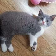 小小罗155的个人资料头像