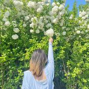 哦吼910的个人资料头像