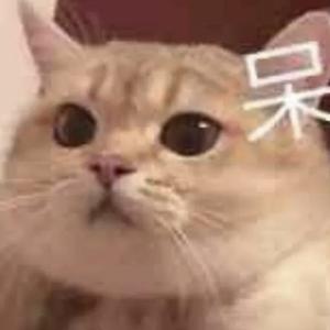 想吃吃秋刀鱼头像