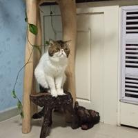 用户5904692137372头像