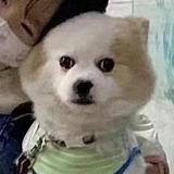 用户4571987106150头像