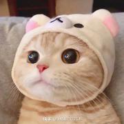 糕小芝的个人资料头像