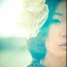 陨星的个人资料头像