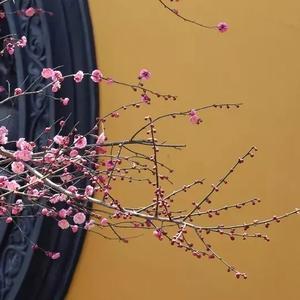 用户平常心6T5k头像