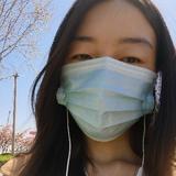 猫猫要闪电头像
