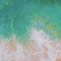 佛跳墙摔够呛头像