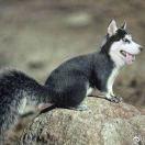 大宇酱的个人资料头像