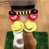 任你行975头像