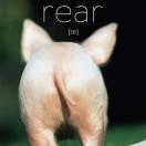 YJeremy的个人资料头像