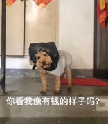 iiiii0的个人资料头像