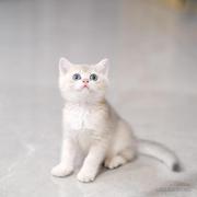 MaybeLater的个人资料头像