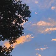 0x4154304D的个人资料头像