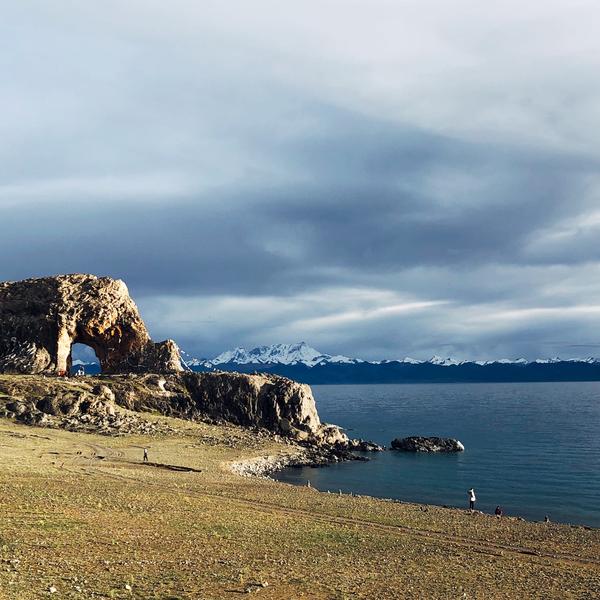 番茄二手车阿东头像