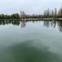 不念过往不畏将来233头像