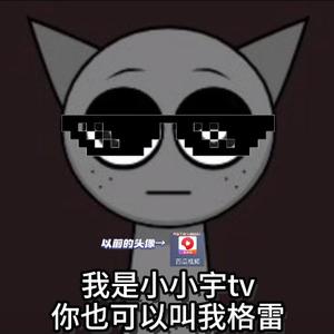 小小宇tv头像