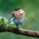 好好学习呀的个人资料头像