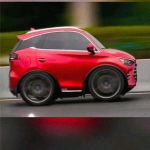 車闻菌头像