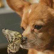 饥饿代的个人资料头像