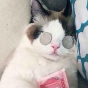 三年老陈重学Java的个人资料头像