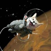 wind125的个人资料头像