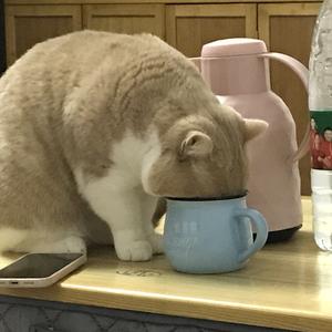 丶Сяокуолуолуо