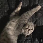 petrichor721的个人资料头像