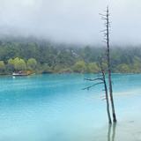 机械能头像