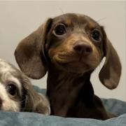 lingling7的个人资料头像