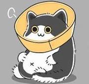 youngbao的个人资料头像