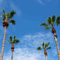 超级用户557头像