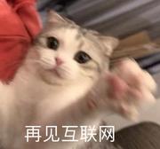 最好的帆的个人资料头像