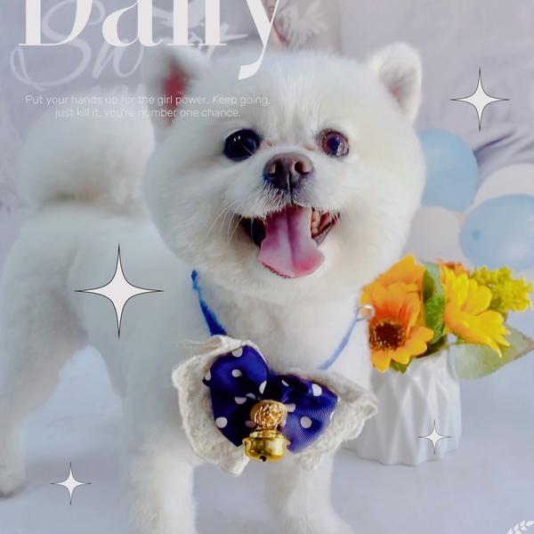 秀外慧中76头像