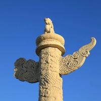 自强不息星星nnU头像