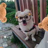 我给你的备注是㐓㤅ke头像
