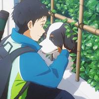 YJX4221头像