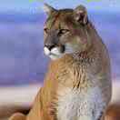 BENZ60305的个人资料头像