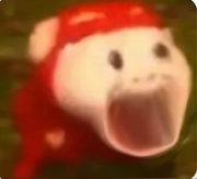 俞乐涵的个人资料头像