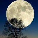 思战的个人资料头像