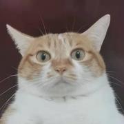 28256976的个人资料头像