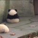 xunmll头像