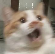 细说红尘事二三的个人资料头像