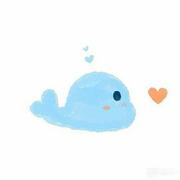 axp97的个人资料头像