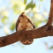 子渊175的个人资料头像