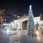 一休哥742的个人资料头像