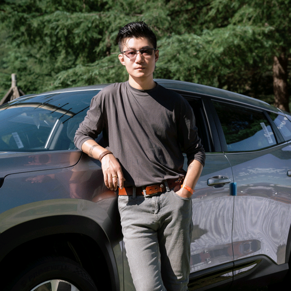 鸡哥唠唠车头像