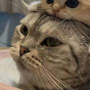 lyhRzsy的个人资料头像