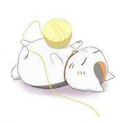 相魁的个人资料头像